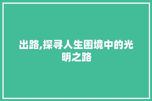 出路,探寻人生困境中的光明之路