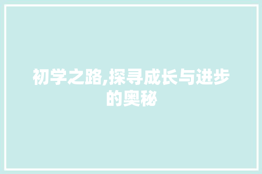 初学之路,探寻成长与进步的奥秘