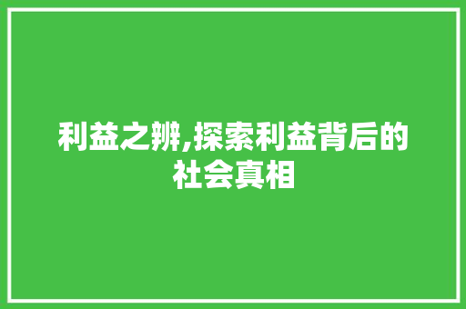 利益之辨,探索利益背后的社会真相