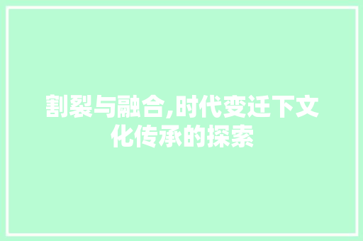 割裂与融合,时代变迁下文化传承的探索