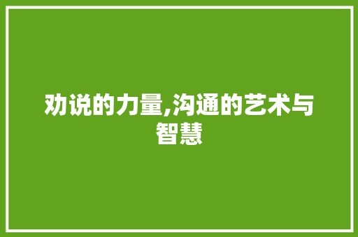 劝说的力量,沟通的艺术与智慧