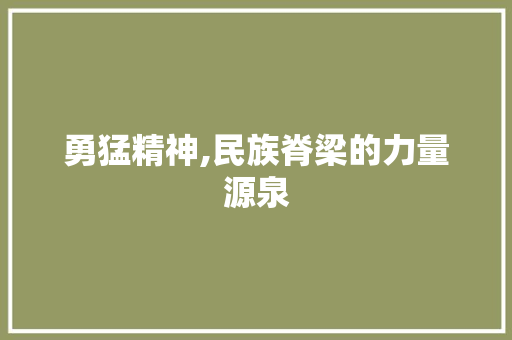 勇猛精神,民族脊梁的力量源泉