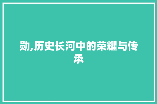 勋,历史长河中的荣耀与传承