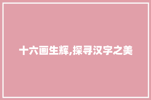 十六画生辉,探寻汉字之美
