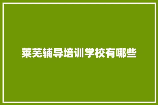 莱芜辅导培训学校有哪些