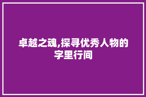 卓越之魂,探寻优秀人物的字里行间