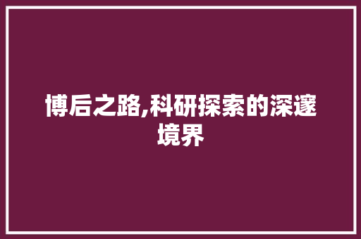 博后之路,科研探索的深邃境界
