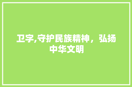 卫字,守护民族精神，弘扬中华文明