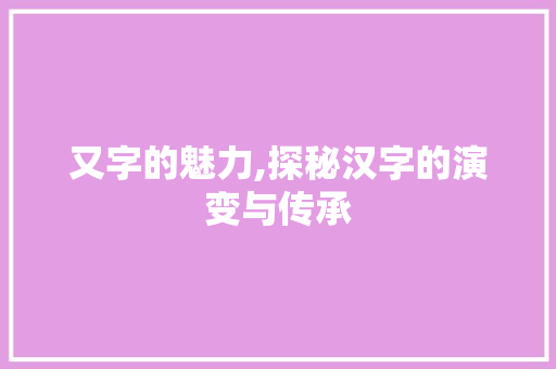 又字的魅力,探秘汉字的演变与传承