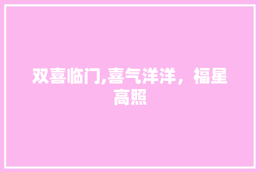 双喜临门,喜气洋洋，福星高照