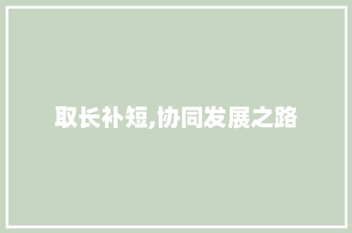 取长补短,协同发展之路