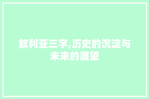 叙利亚三字,历史的沉淀与未来的展望