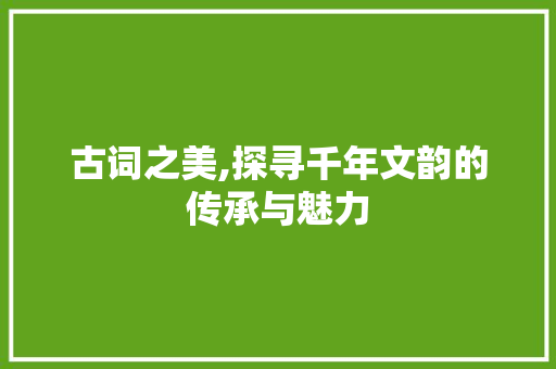 古词之美,探寻千年文韵的传承与魅力