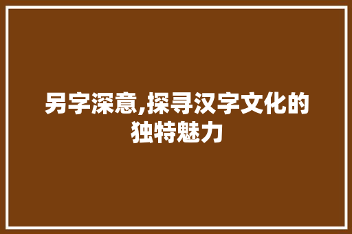 另字深意,探寻汉字文化的独特魅力