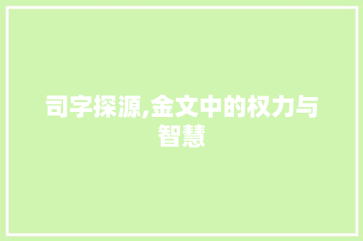司字探源,金文中的权力与智慧