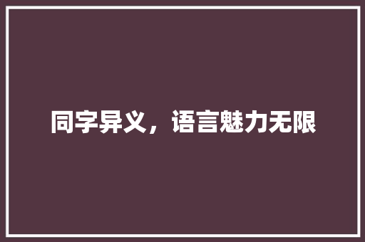 同字异义，语言魅力无限