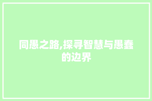 同愚之路,探寻智慧与愚蠢的边界