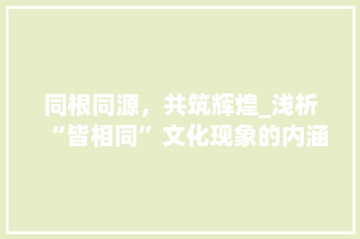 同根同源，共筑辉煌_浅析“皆相同”文化现象的内涵与价值
