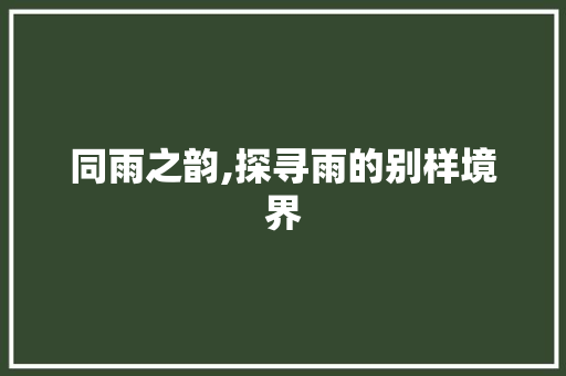 同雨之韵,探寻雨的别样境界