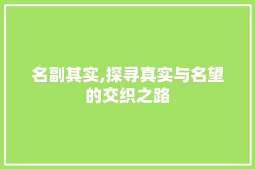 名副其实,探寻真实与名望的交织之路
