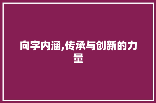 向字内涵,传承与创新的力量