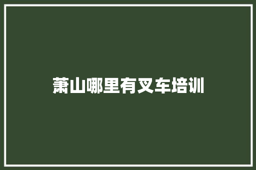 萧山哪里有叉车培训