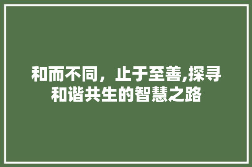 和而不同，止于至善,探寻和谐共生的智慧之路