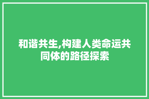 和谐共生,构建人类命运共同体的路径探索