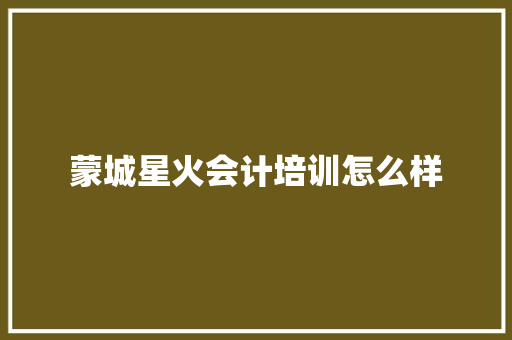 蒙城星火会计培训怎么样