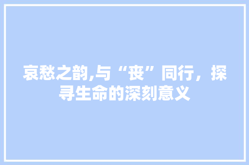 哀愁之韵,与“丧”同行，探寻生命的深刻意义
