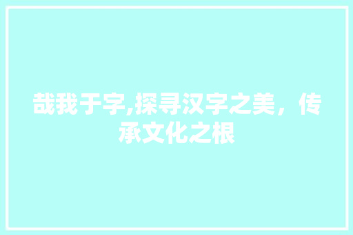 哉我于字,探寻汉字之美，传承文化之根