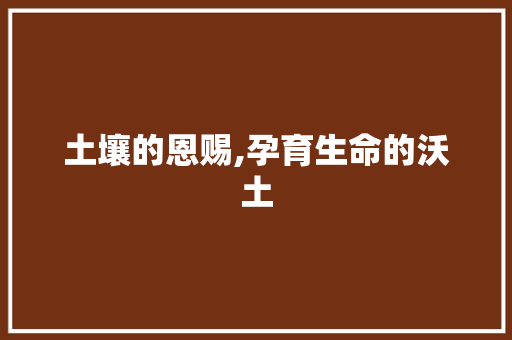 土壤的恩赐,孕育生命的沃土