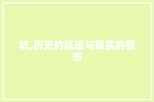 坑,历史的轨迹与现实的警示