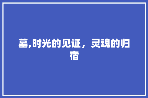墓,时光的见证，灵魂的归宿