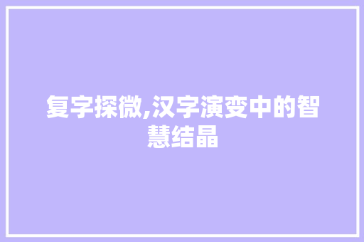 复字探微,汉字演变中的智慧结晶 职场应用