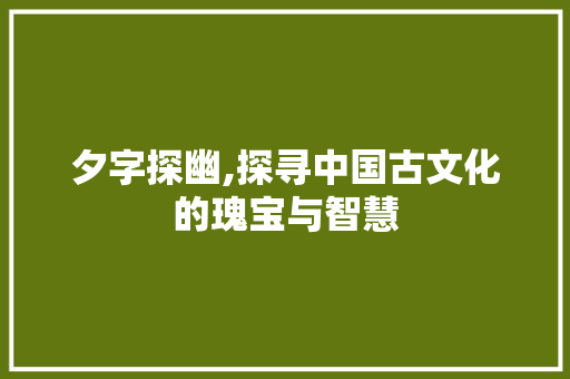 夕字探幽,探寻中国古文化的瑰宝与智慧