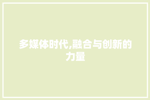 多媒体时代,融合与创新的力量