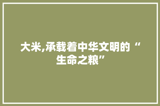 大米,承载着中华文明的“生命之粮” 范文资源