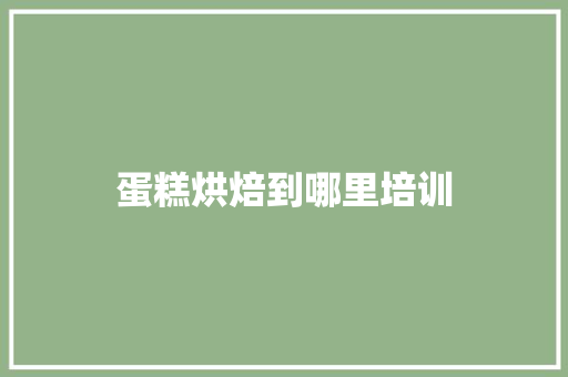 蛋糕烘焙到哪里培训