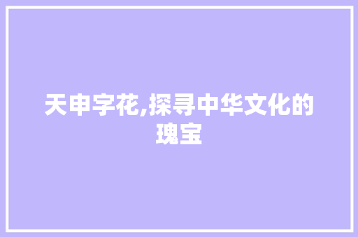 天申字花,探寻中华文化的瑰宝 范文参考