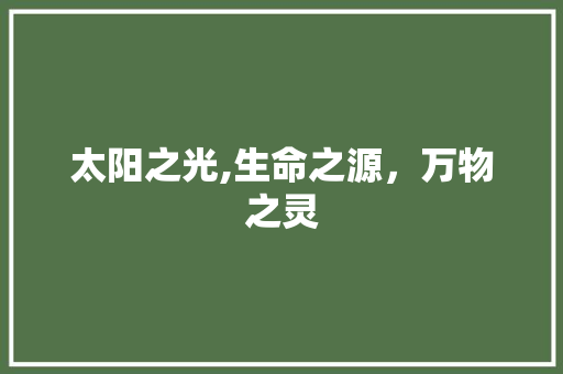 太阳之光,生命之源，万物之灵 职场应用