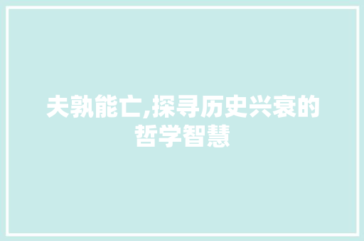 夫孰能亡,探寻历史兴衰的哲学智慧