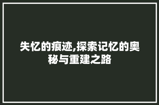 失忆的痕迹,探索记忆的奥秘与重建之路