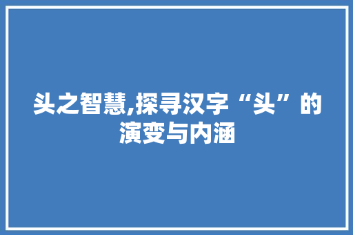 头之智慧,探寻汉字“头”的演变与内涵