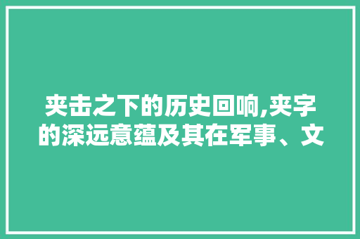 夹击之下的历史回响,夹字的深远意蕴及其在军事、文化与生活中的应用