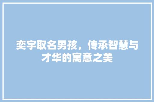 奕字取名男孩，传承智慧与才华的寓意之美