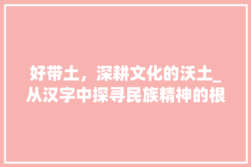 好带土，深耕文化的沃土_从汉字中探寻民族精神的根脉 范文资源