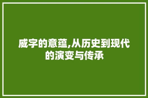 威字的意蕴,从历史到现代的演变与传承