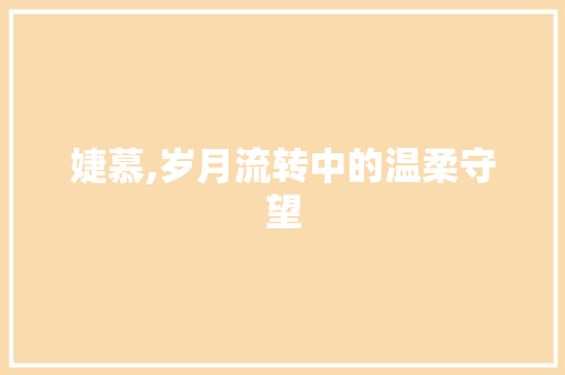 婕慕,岁月流转中的温柔守望 合同协议