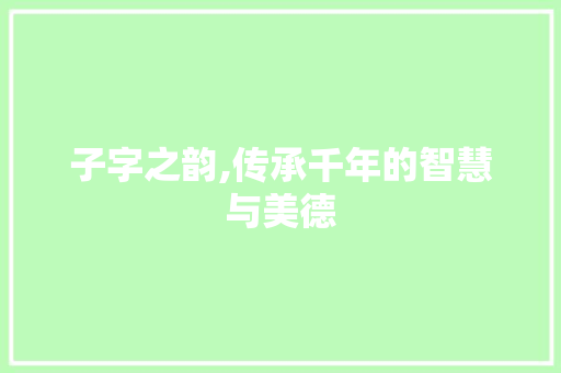 子字之韵,传承千年的智慧与美德